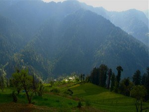 Shoja