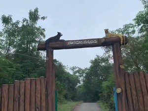 Jogimatti Wildlife Sanctuary