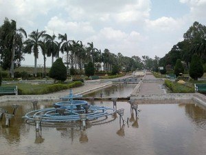Ajwa Garden