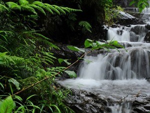 Chethalayam Waterfalls