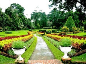 Royal Botanical Gardens