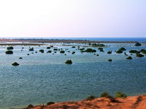 Seneyah / Al Sinniyah Island