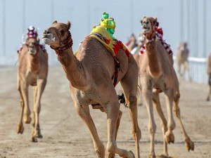 Al Sawan Race Track