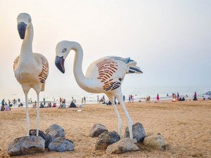 Flamingo Beach