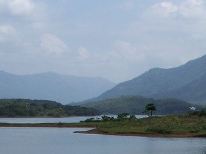 Malankara Dam, Near Idukki