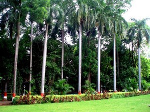 Bund Garden