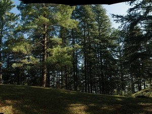 Habban Valley