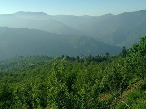 places to visit near me in himachal