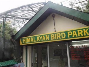 Himalayan Aviary / Himalayan Bird Park