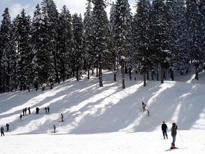 shimla trip cost for 2 days