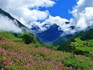 tourist places between rishikesh to badrinath Valley Of Flowers Tourism