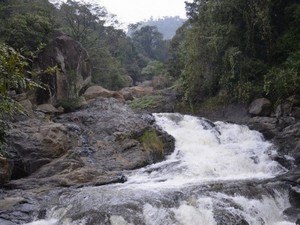 Puliyancholai Falls