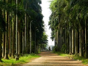 Botanical Garden