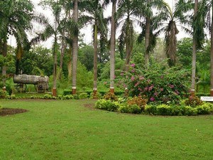 Waghai Botanical Garden