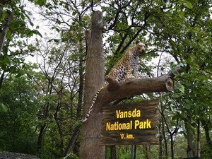 Vansda National Park