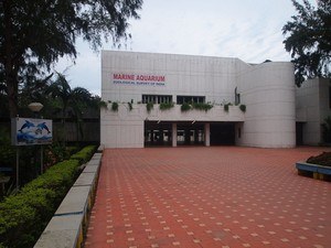 Marine Aquarium & Regional Centre