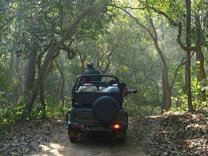 Bijrani Jeep Safari