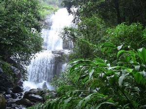 Honey Valley Nilakandi Falls