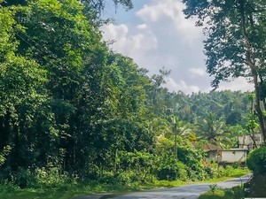 Chettalli