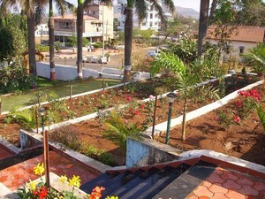 Step Garden