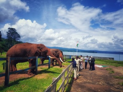 Harangi Elephant Camp