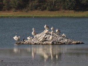 Lal Pari Lake