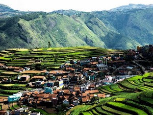 Poombarai