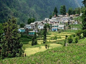 Ranikhet Tour Packages