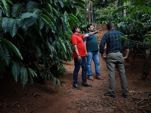 Coffee Plantation Tours