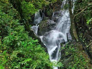 Abbikolli Waterfall / Devarakolli Falls