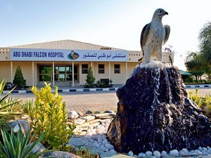 Abu Dhabi Falcon Hospital