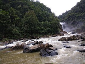 Sirsi Sirsi