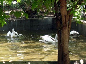 Guindy National Park Guindy National Park