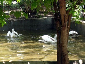 Guindy National Park