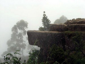 Dolphin's Nose