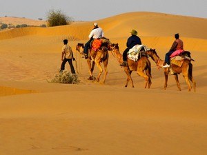Desert Camel Safari