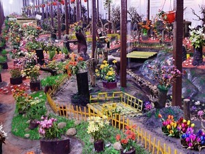 Thread Garden