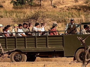 Maghadhi Canter Safari