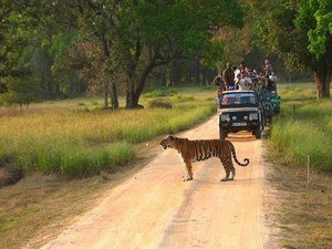 Khitauli Jeep Safari