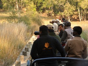 Khitauli Canter Safari
