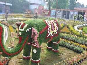 TTD Gardens
