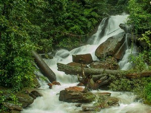 Elaneeru Falls