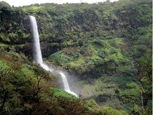 Vajrai Falls, Near Satara