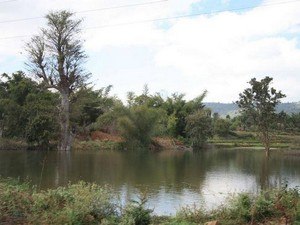 Nilavoor Lake