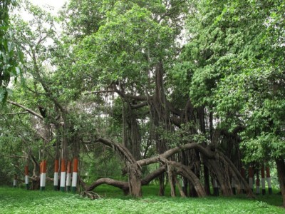 Kabirvad