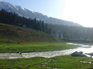 Strawberry Valley