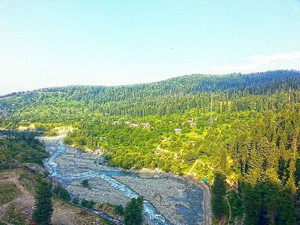 Nalla Ferozpora