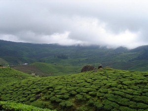 Lock Heart Gap / Lockhard Gap