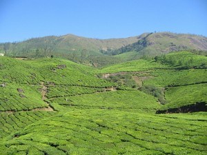places to visit between munnar and alleppey
