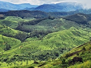 places to visit in munnar for 3 days
